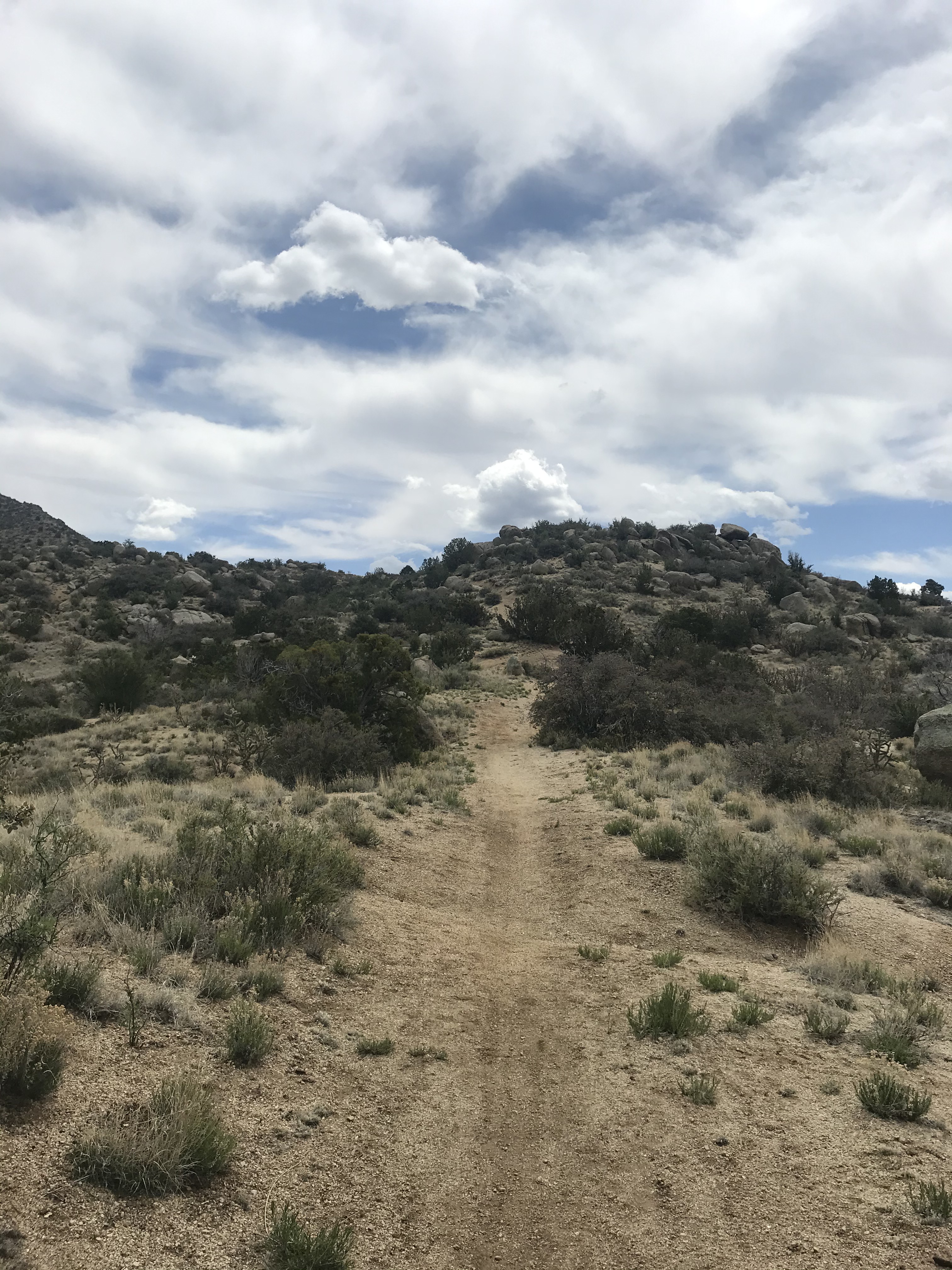 trail running